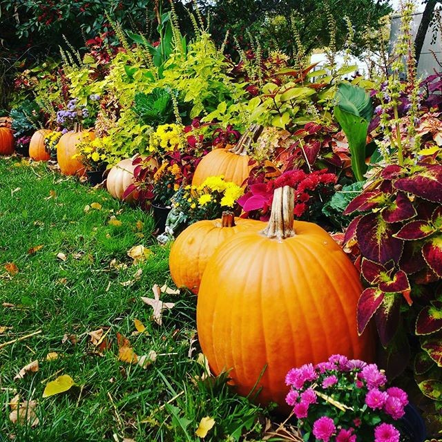 @ali_kat619 Fort Wayne Trail Fall Photo