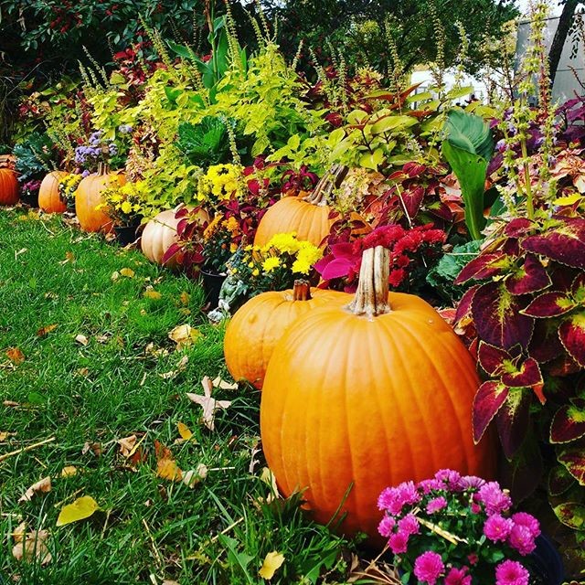 @ali_kat619 Fort Wayne Trail Fall Photo