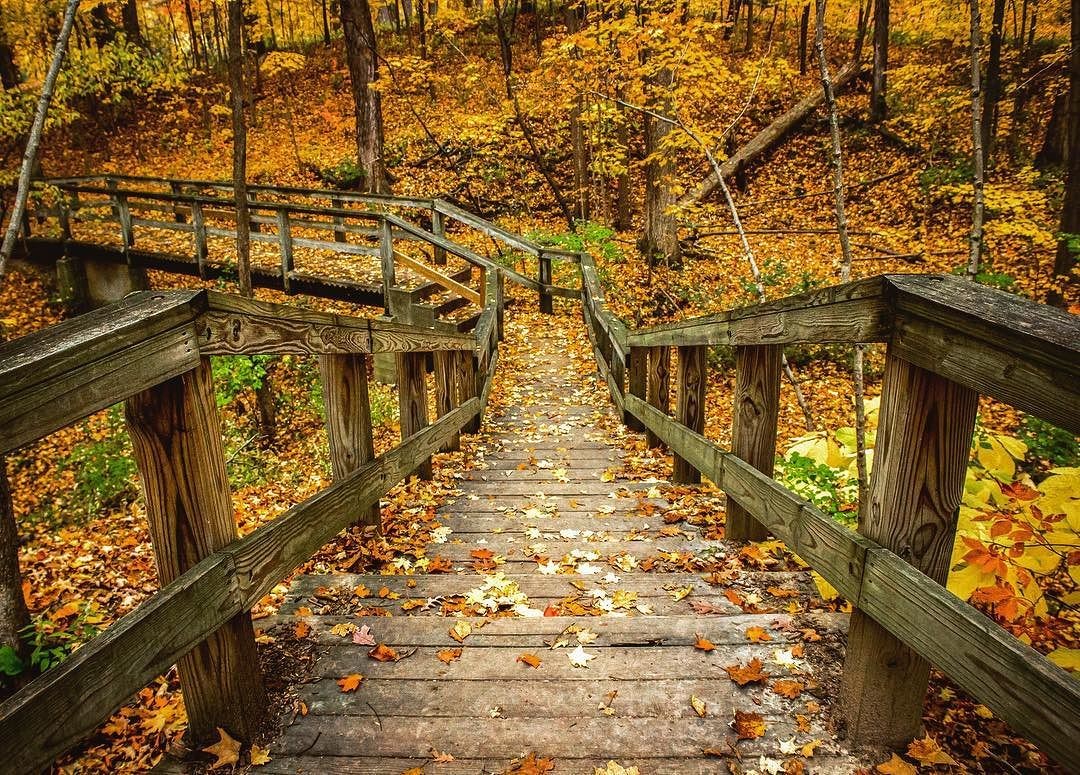 @Matt.Hakey Fort Wayne Trail Fall Photo