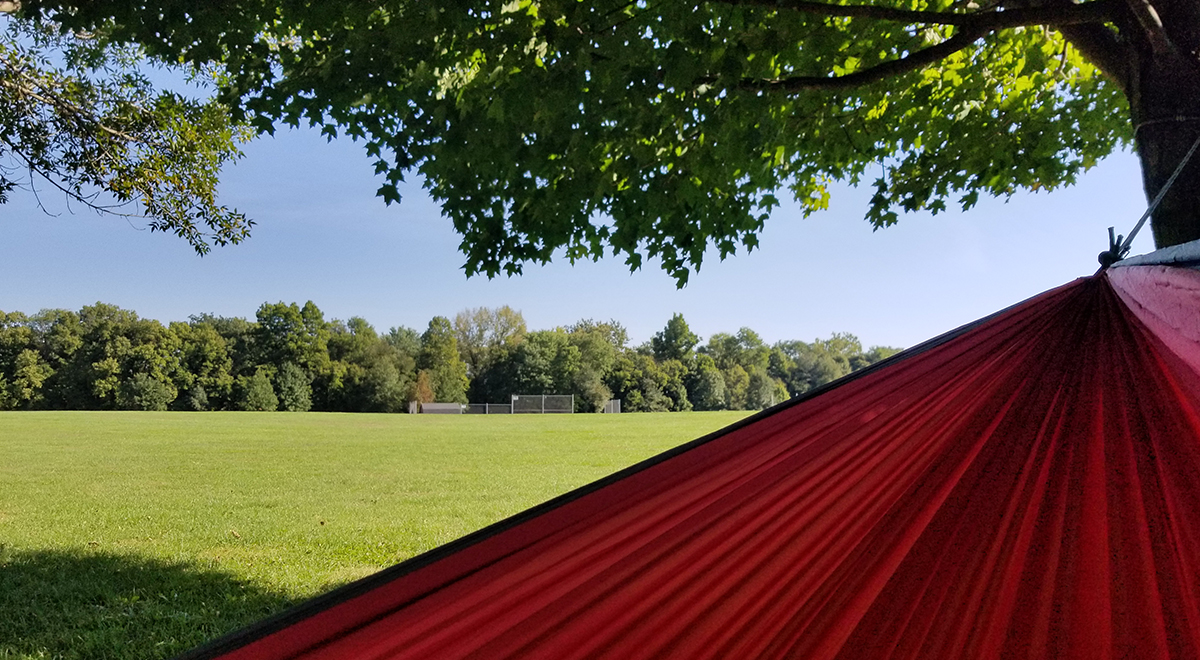 Hammock