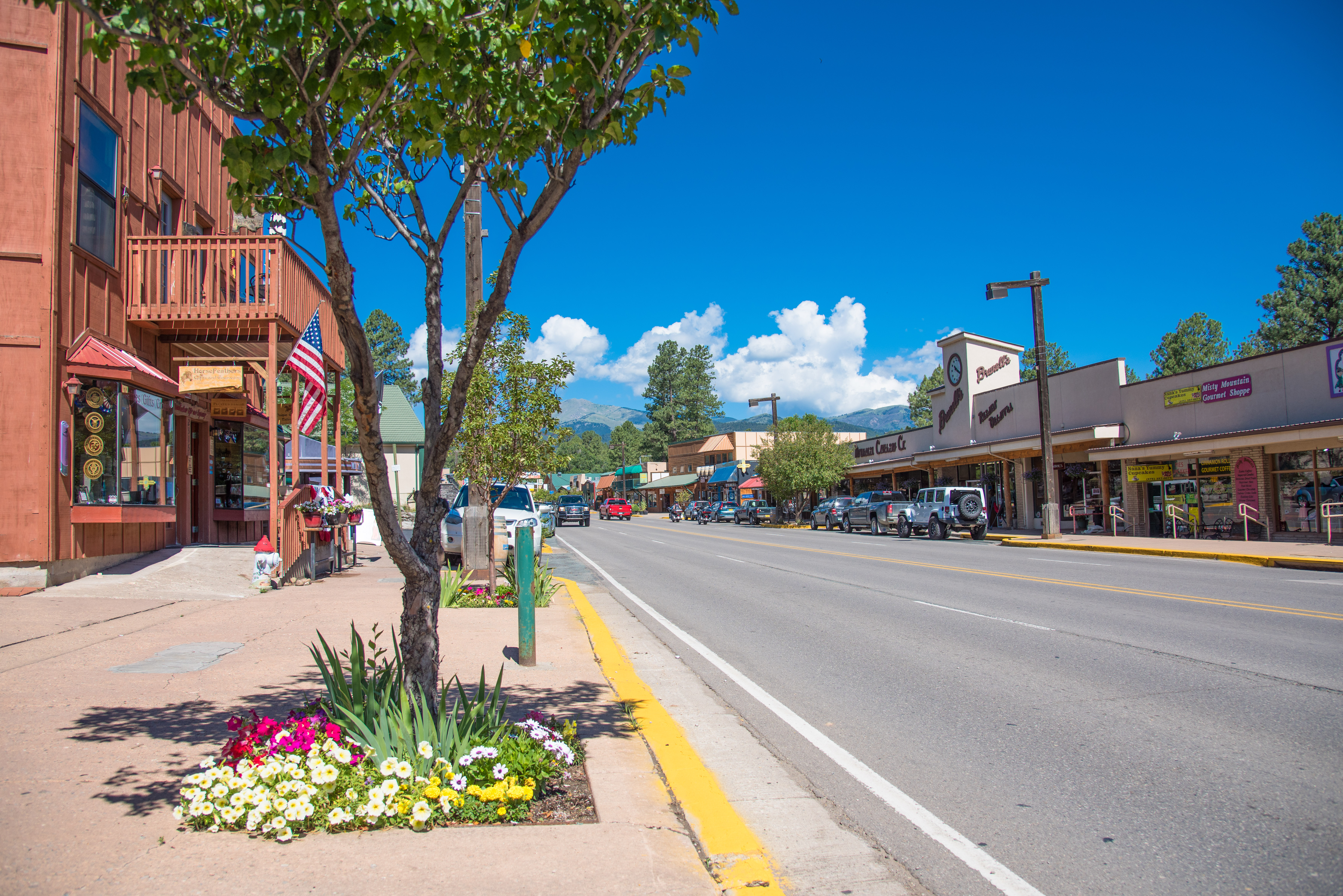 Ruidoso town