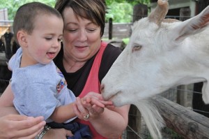 Deanna Rose Children's Farmstead - Feeding Big Goats