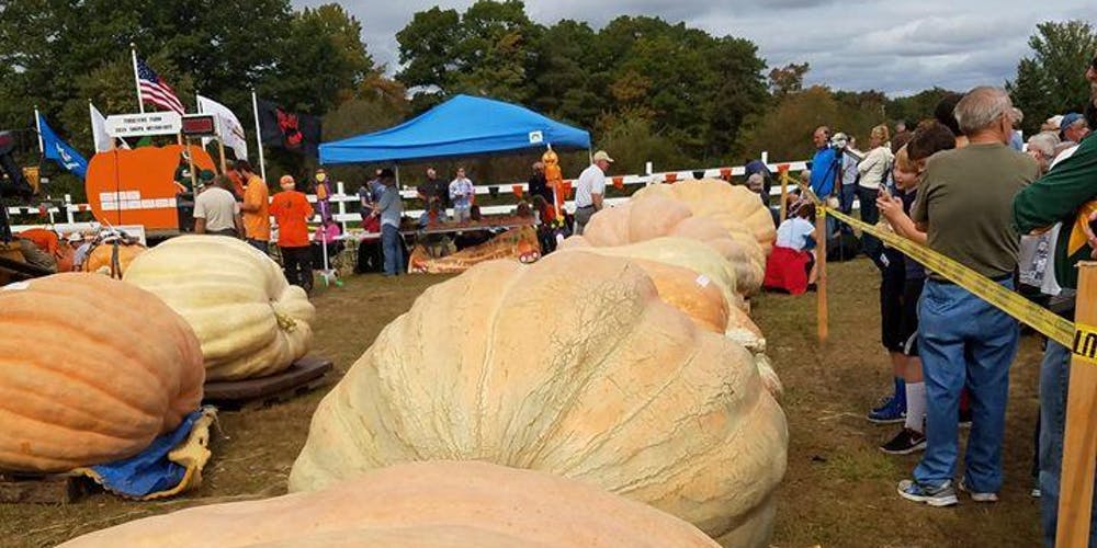 Pumpkin Weigh Off