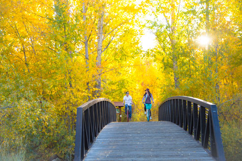 Fall Cruisers