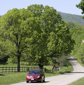 Van on Road - Rental Cars