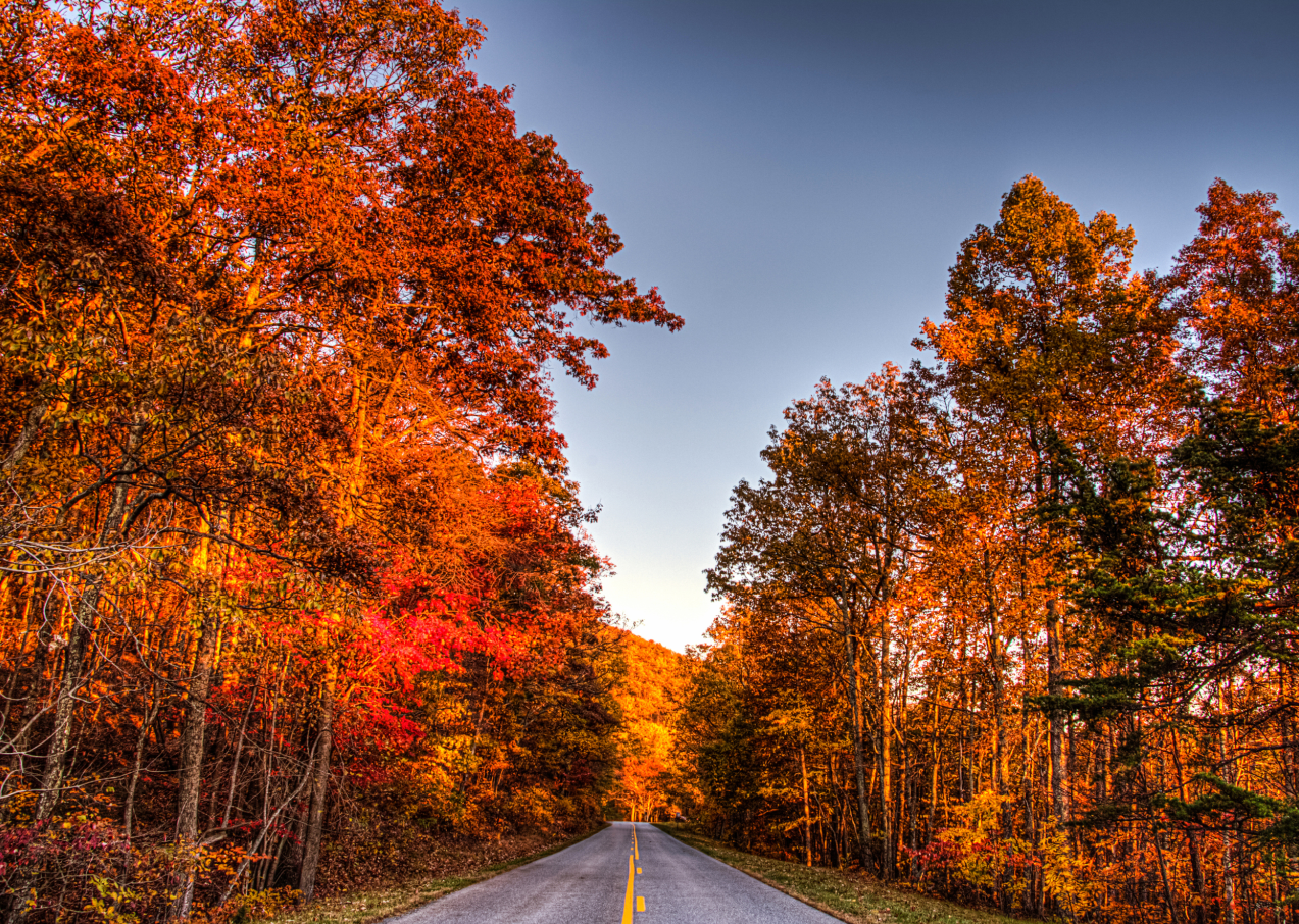Fall In Roanoke Va Mountains Roanoke, Virginia/USA – November 2