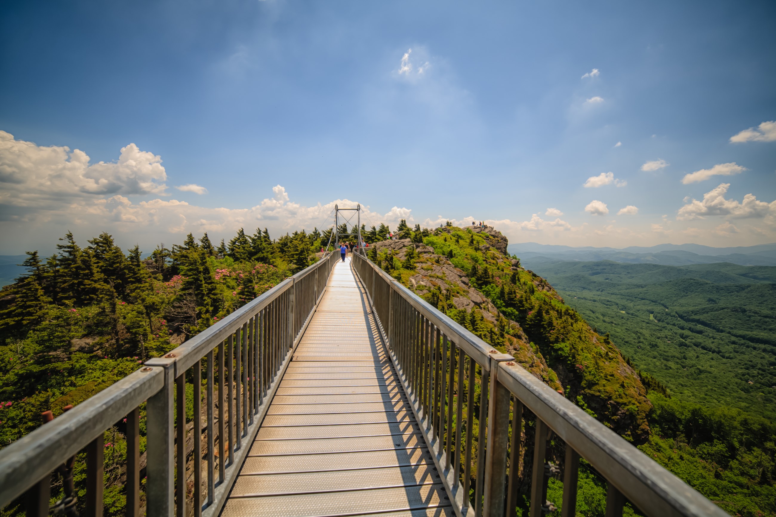 Grandfather Mountain Bridge Perspective