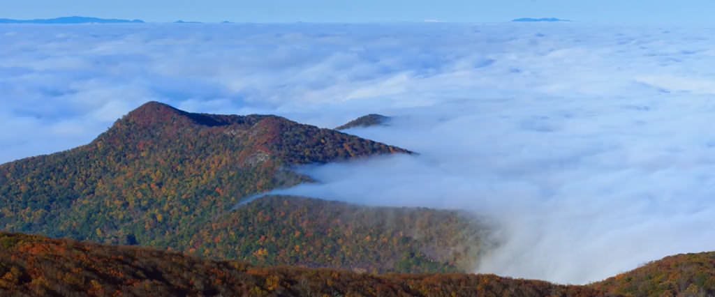 The Science Behind Fall Color Asheville Ncs Official Travel Site