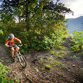 Mountain Biking near Asheville, NC