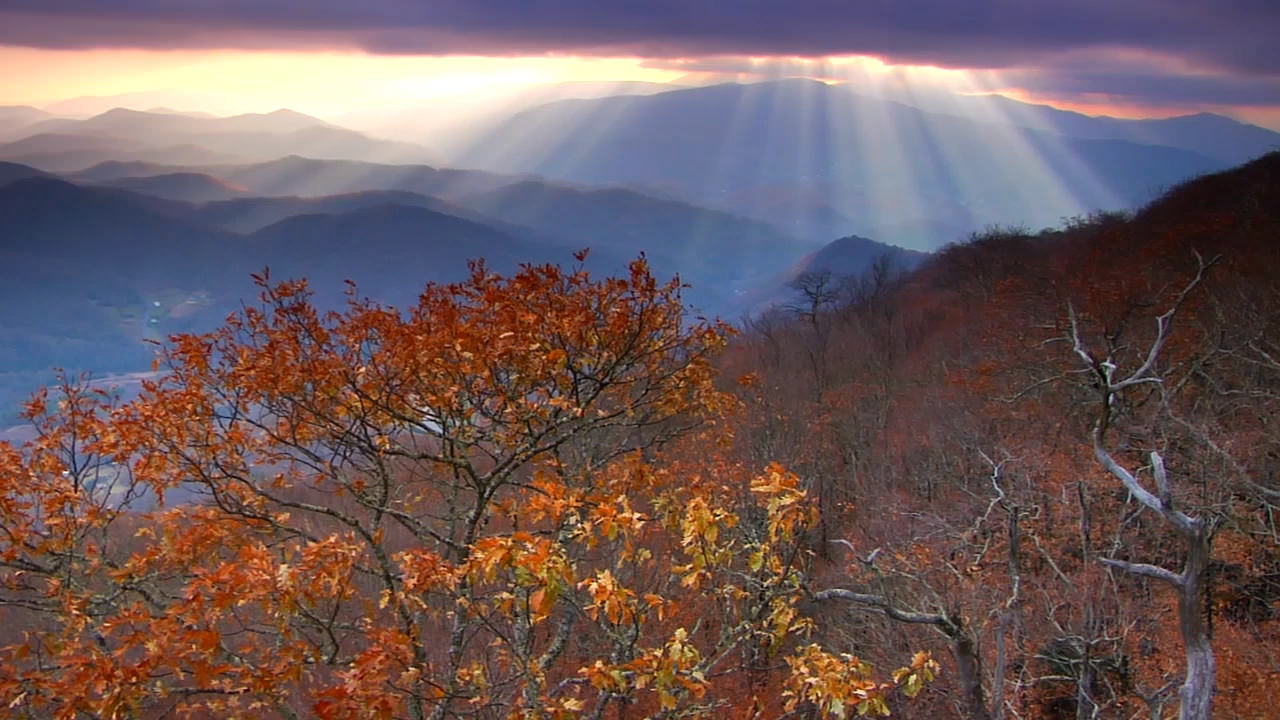 Explorers of the Blue Ridge Parkway  Asheville, NC's Official Travel Site