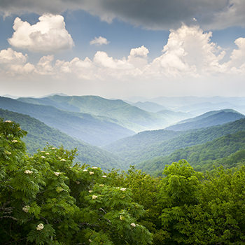 Craggy Overlook by Dave Allen