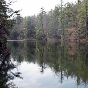 Hard Times Loop Trail