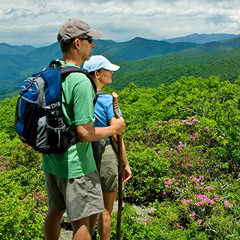 Blue Ridge Mountain Hiking