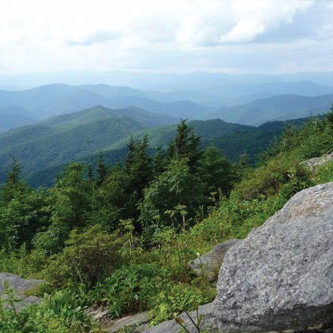 View from Mt. Mitchell