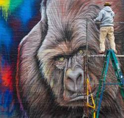 TEST image Gorilla Mural