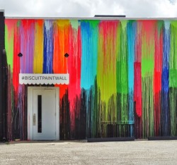 TEST image Biscuit Paint Wall Mural