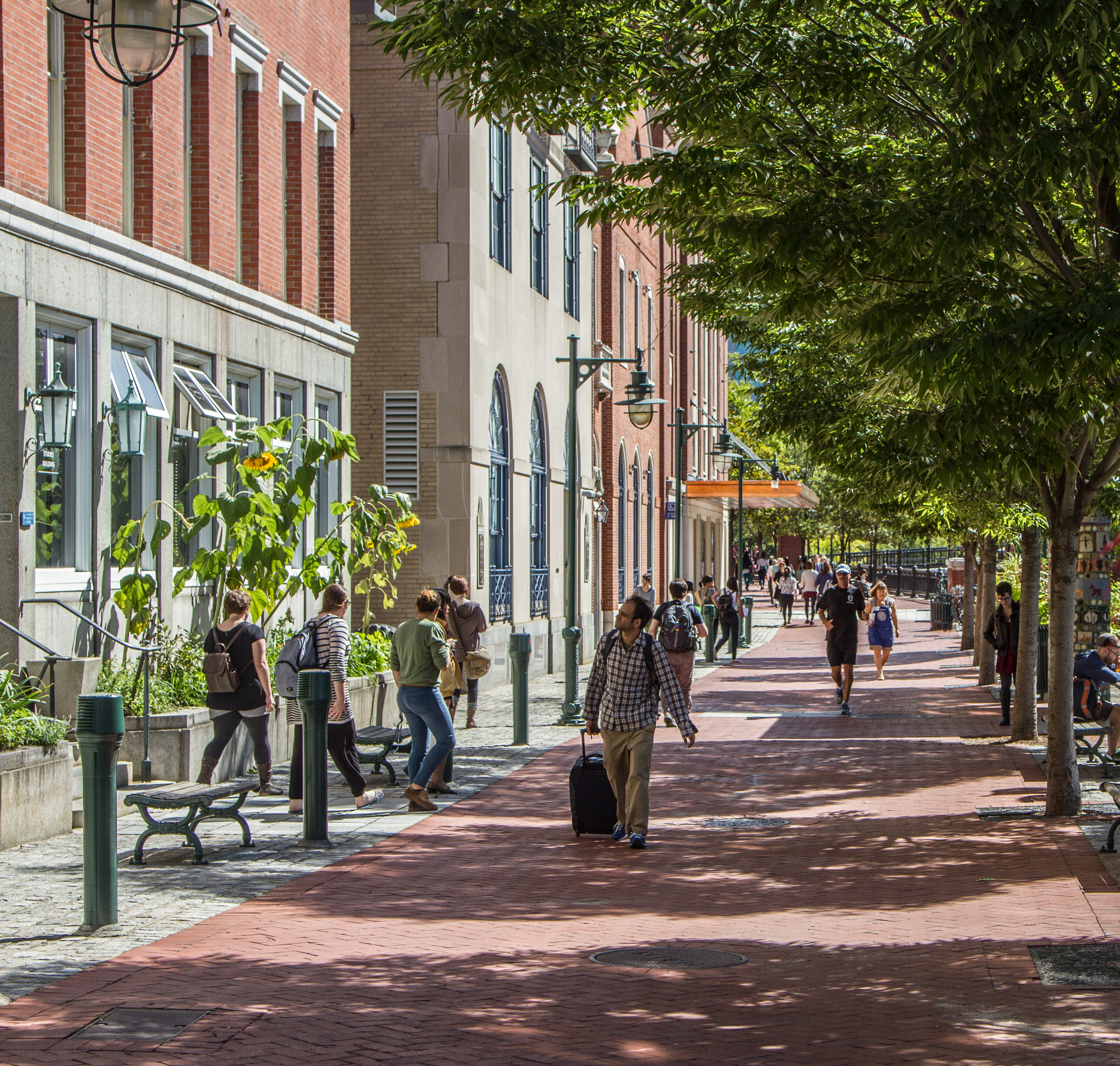 Walking Near RISD at Waterplace Park