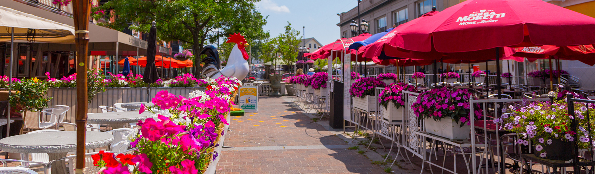 Federal Hill Restaurants