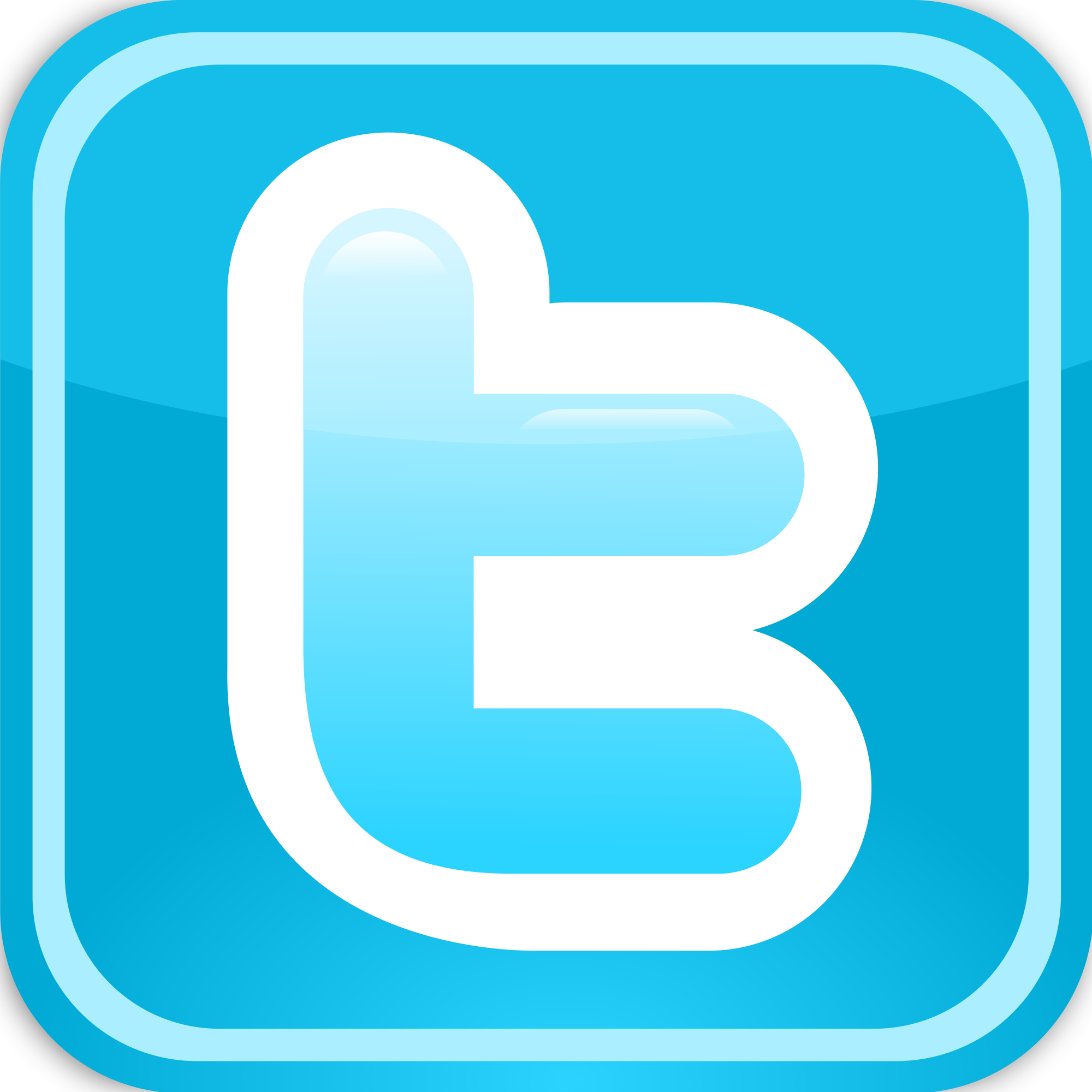 Twitter Logo