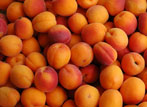 Apricots