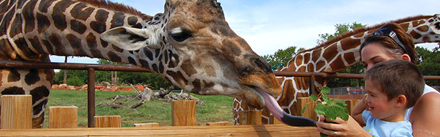 Oklahoma City Zoo 16:5