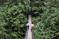 capilano