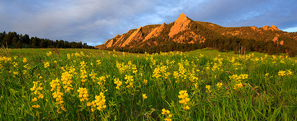 Flatirons with Yellow Flowers