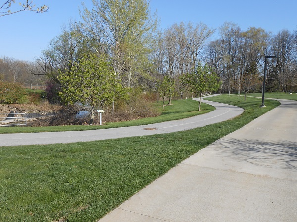 Nature walk on left, campus sidewalk on right. The sidewalk meanders from smooth, flat grass to wooded areas.