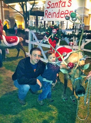 Reindeer