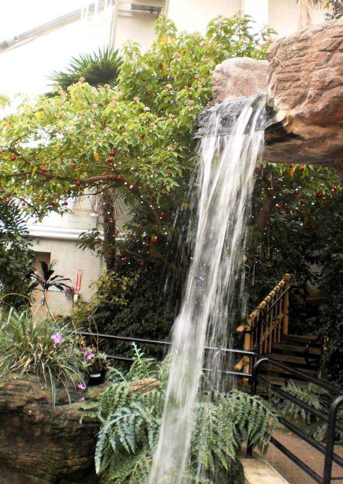 The waterfall at the Conservatory is always a highlight for me!