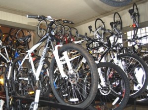 An array of bikes to rent or purchase awaits.
