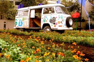 Flower-Power
