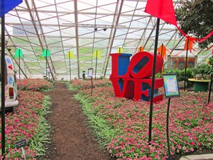 Botan-blog-2