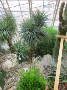 Botan-blog-1