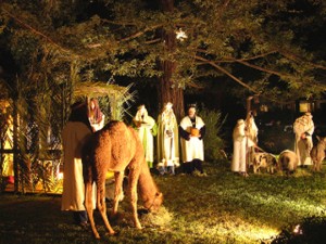 120909LivingNativity540