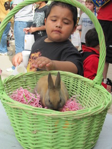 Easter at the Botanical 2
