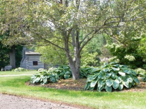 Foster Park