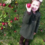 Cooks Orchard_2011_hschoegler