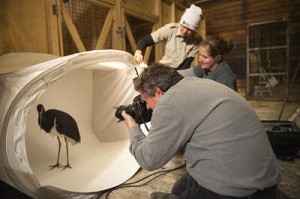 Photographer