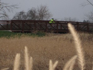 Get close to nature on the Towpath Trail.