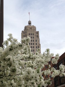 Tower Bank as seen through beautiful blooming trees on Berry St. in downtown Fort Wayne