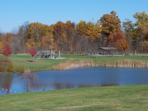 metea fall