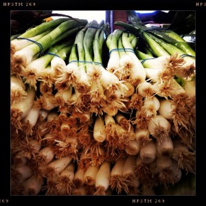 Farm Fresh Onions