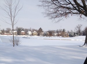 The reservoir