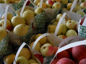 Fresh apples - don't they look good?