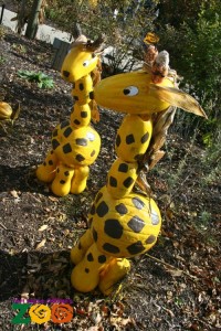 Giraffe Pumpkins