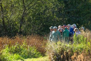 Ramblers