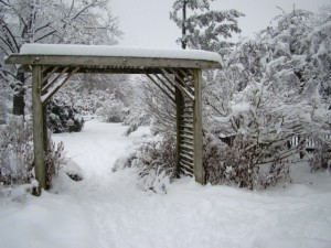 DSC02369