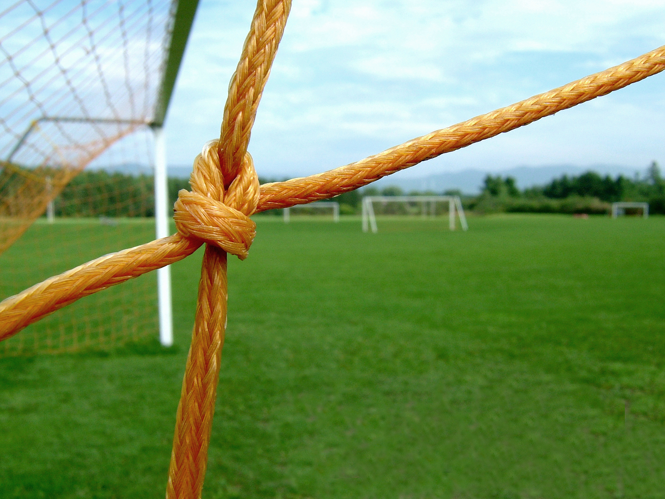 Soccer net by Annette Crimmins