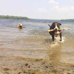 Captured by Instagrammer @Oliviabohrer